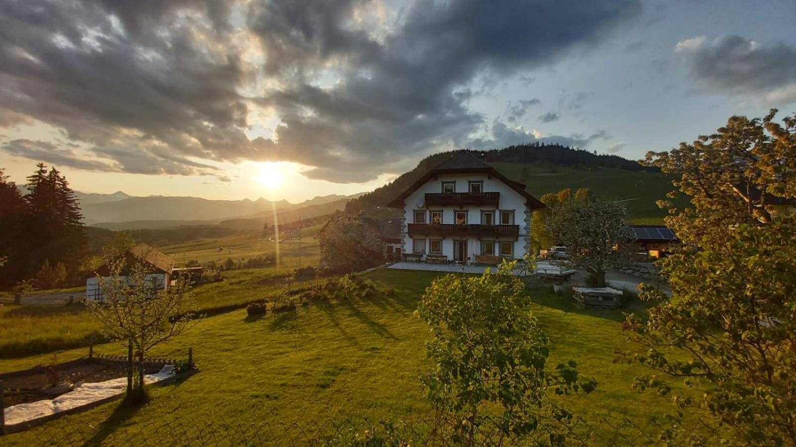 Schweizer Hof Apartment Tamsweg Ngoại thất bức ảnh